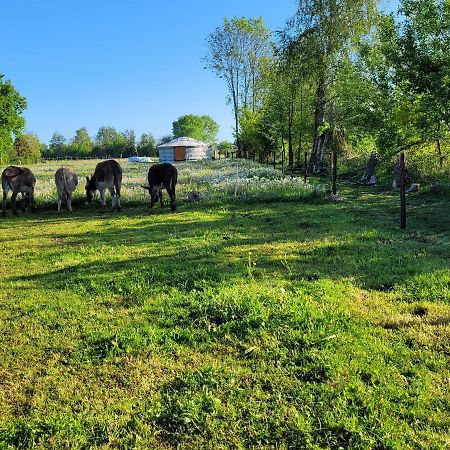 Slapen Tussen De Ezels In De Yurt Ξενοδοχείο Άαρσχοτ Εξωτερικό φωτογραφία