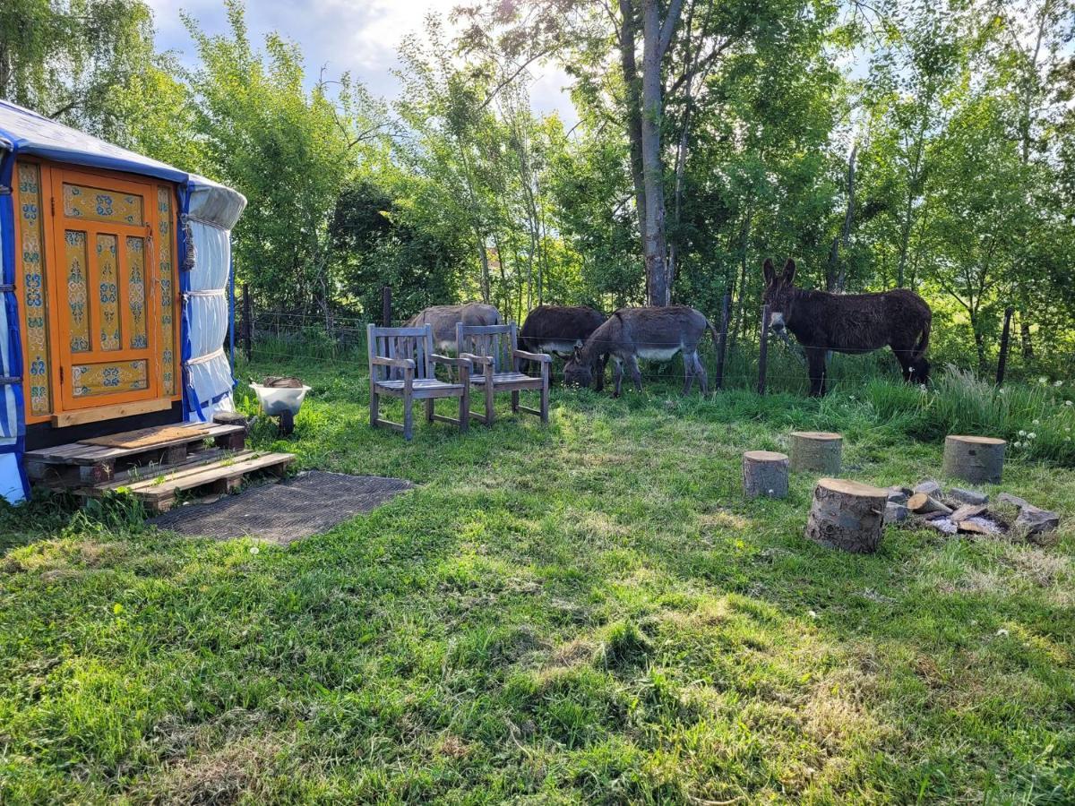 Slapen Tussen De Ezels In De Yurt Ξενοδοχείο Άαρσχοτ Εξωτερικό φωτογραφία