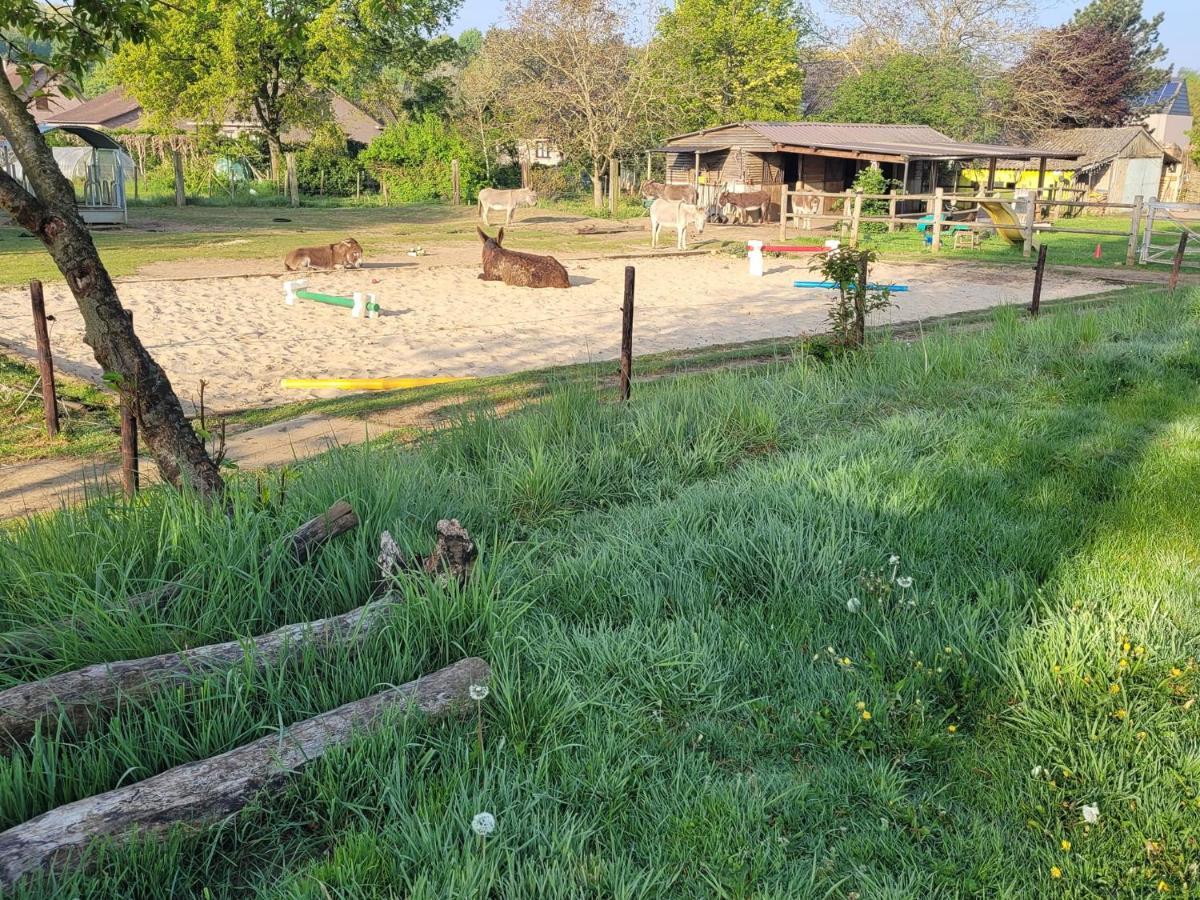Slapen Tussen De Ezels In De Yurt Ξενοδοχείο Άαρσχοτ Εξωτερικό φωτογραφία